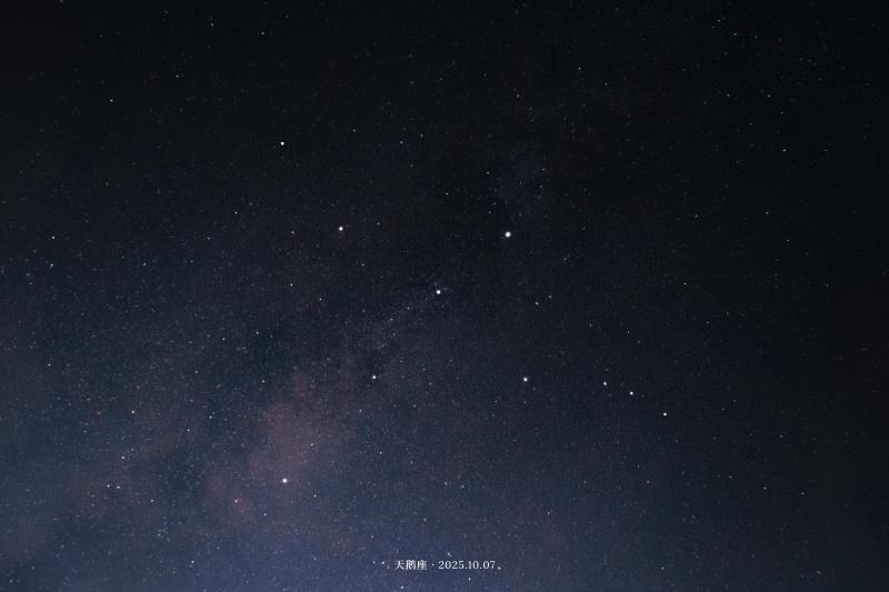 天鹅座