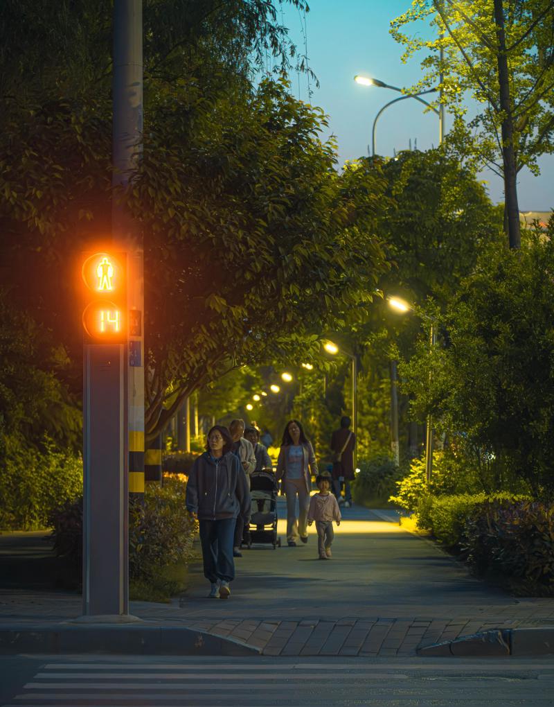 绿荫路边