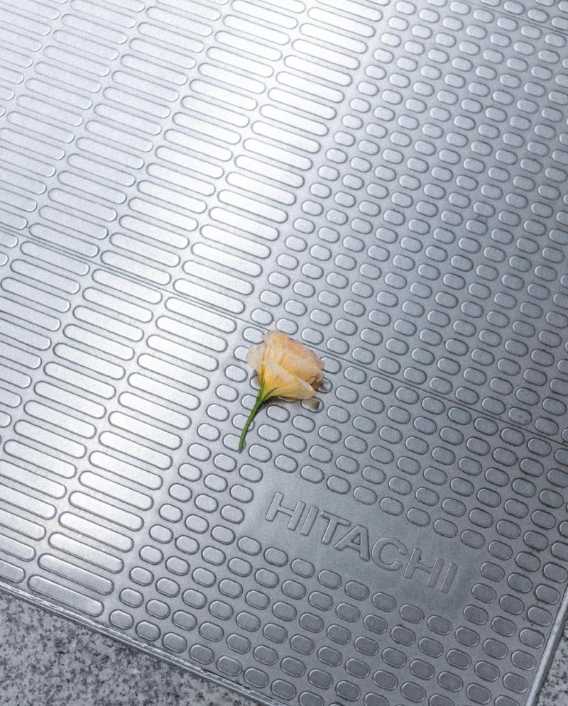 落花