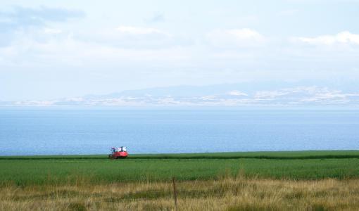 青海湖与田野