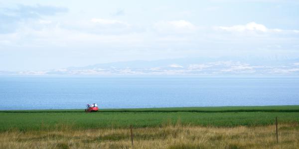 青海湖与田野